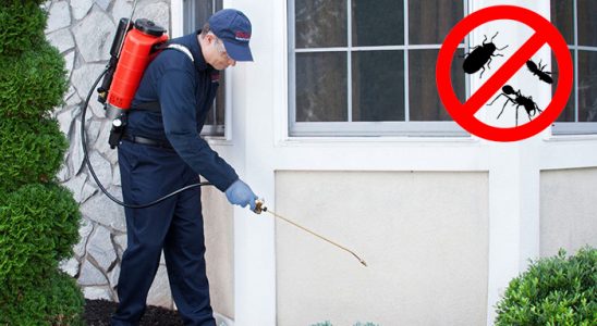 Küre Gümüşkurt İlaçlama böcek ilaçlama ve haşere kontrolü — ilaclama-tr.com